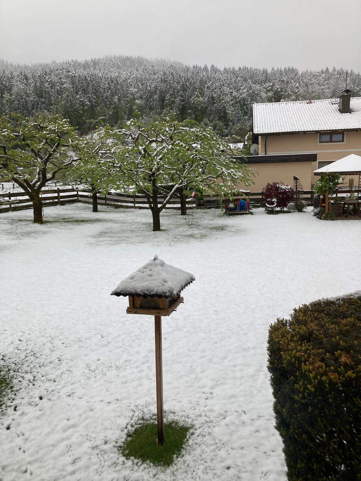 Im Bogenfeld in Kärnten sieht es ebenfalls winterlich aus.