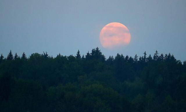 A sinking ´blood moon´ is seen after a full lunar eclipse in the southern Bavarian village of Raisting