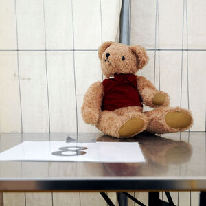 Symbolbild: Teddybär eines Kindes, aufgenommen am Grenzübergang Spielfeld