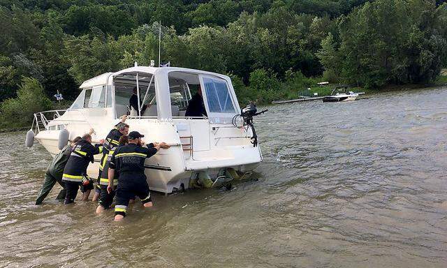 Die Feuerwehren kümmerten sich um eine Geiserjacht in der Donau.