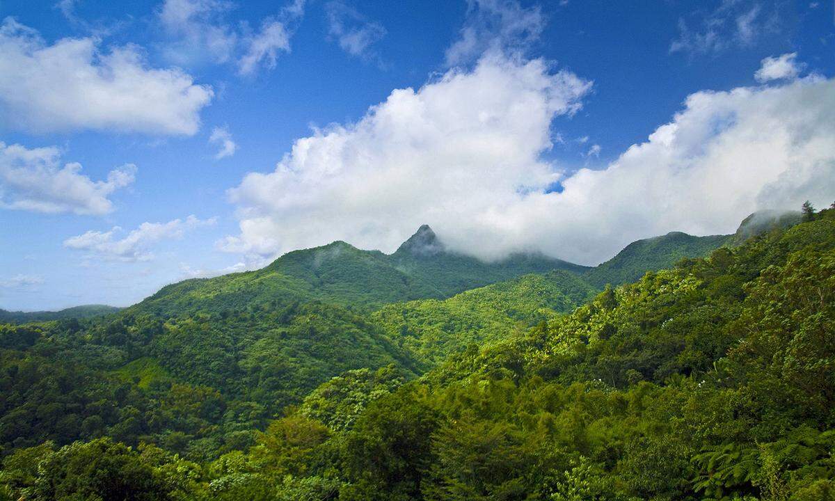 Die nächsten drei Plätze heimst Puerto Rico ein. Der Inselstaat hat sich nach den schweren Verwüstungen durch Hurrikan Maria im Jahr 2017 auch touristisch wieder erholt und lockt Reisende mit karibischem Lebensgefühl, weißen Sandstränden, biolumineszenten Buchten und Naturschönheiten. In Rio Grande, im Nordosten des US-amerikanischen Außengebietes, kann man etwa im El Yunque National Forest die Flora und Fauna tropischer Regenwälder erkunden. Aushalten lässt es sich auch am abgelegenen Coco Beach. Ein Plus von 416 Prozent kann Rio Grande verbuchen.
