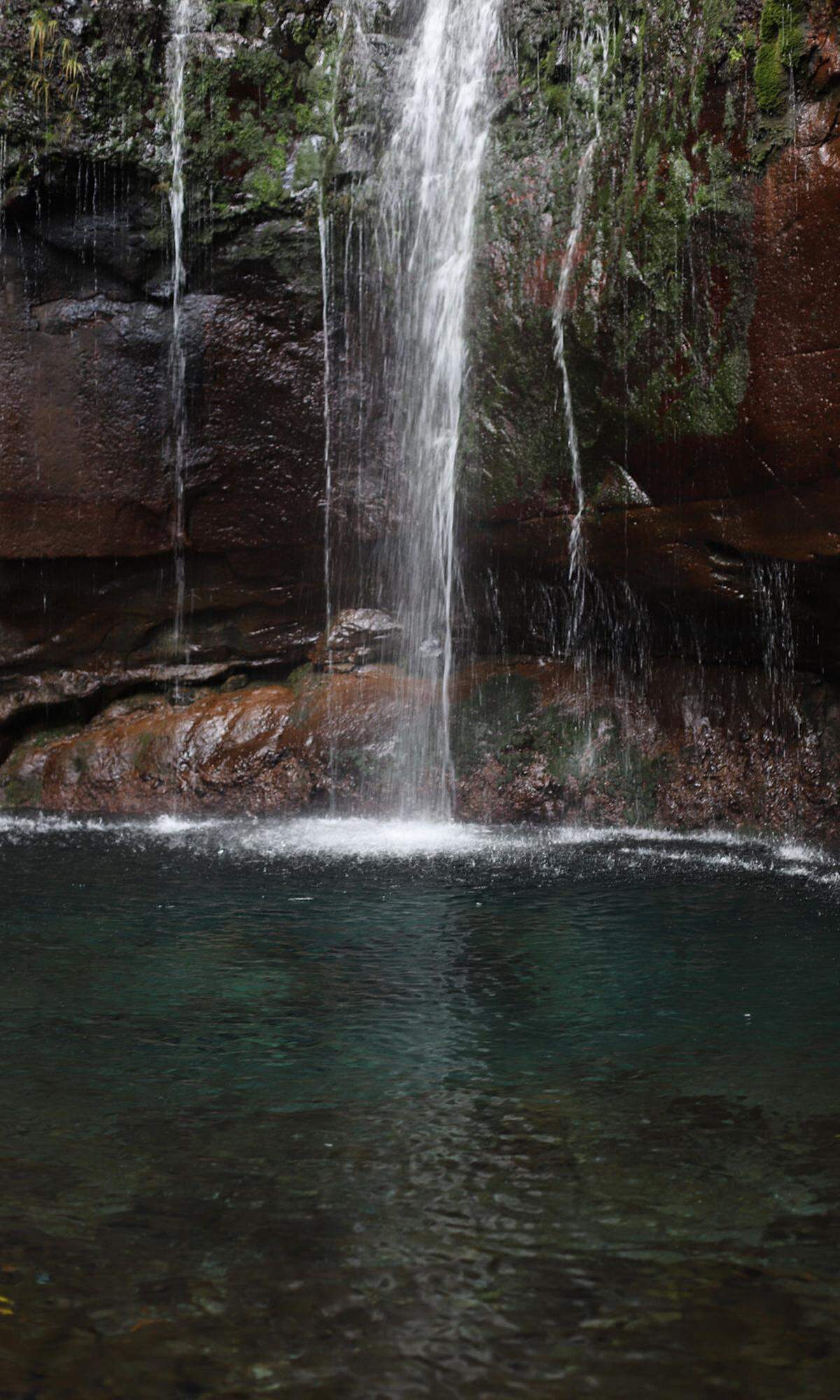 Wanderguide Christa Dornfeld weiß, wann man aufbrechen muss, um das mystisch-kühle Wasserfallatrium bei der Levada 25 Fontes für sich allein zu haben.