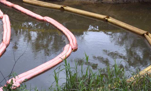 Workers of YPFB (Yacimientos Petroliferos Fiscales Bolivianos) clean a river near Ivirgarzama