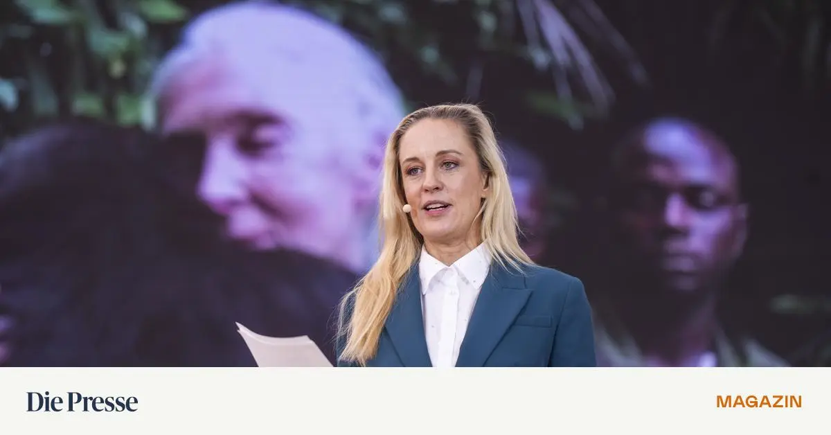 Jeder-kann-ein-bisschen-wie-Jane-Goodall-sein-premium-