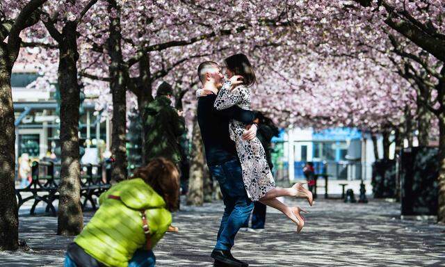 Liebestanz unter den Kirschblüten auch in der Coronazeit. Schweden tickt anders.