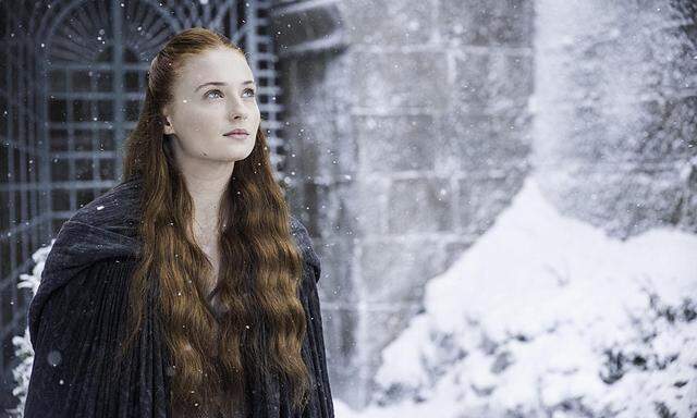 Sansa im Schnee