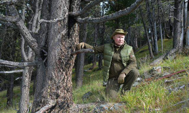 Wladimir Putin gibt gern den Naturburschen. Dass er sich nun dem Pariser Klimaschutzabkommen angeschlossen hat, liegt aber nicht nur an der Ökologie.