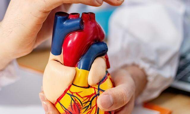 Medikamente sollen das Herz nach Infarkt vor weiteren Schäden schützen.