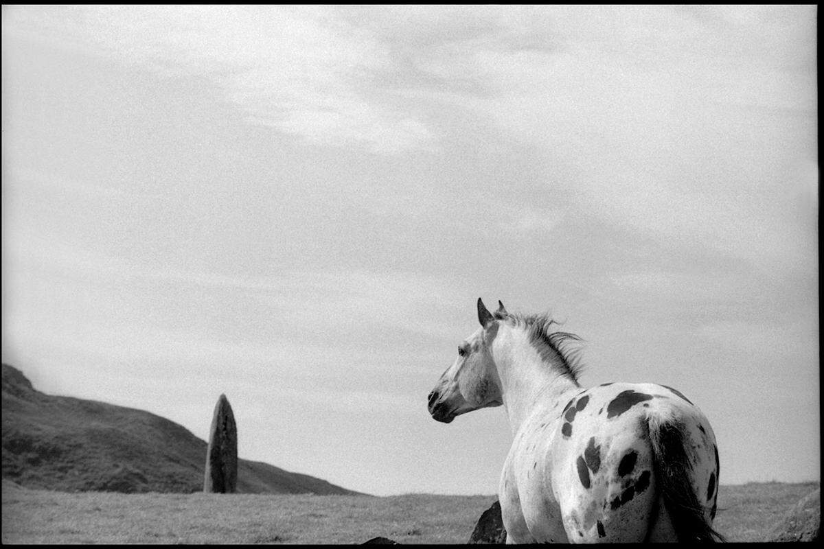 ... bis zu den späten Zeugnissen ihrer Natur- und Pferdebegeisterung.   Hengst und stehender Stein, Schottland (c) 1996 Paul McCartney / Fotografin: Linda McCartney