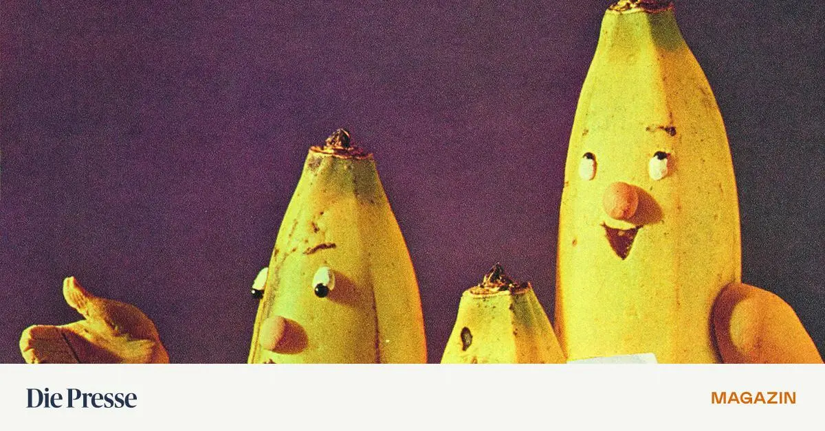 -Schaufensterbummel-Unsere-Shoppingtipps-Adressen-und-Empfehlungen-premium-