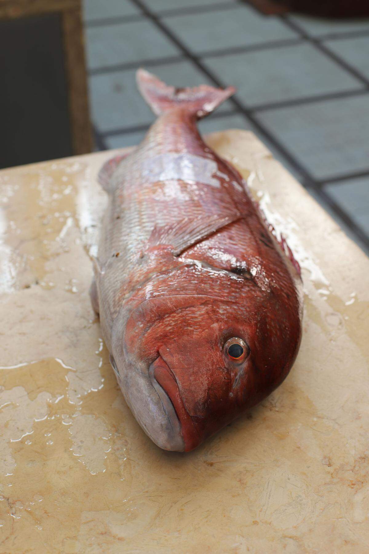 "Der Fisch is putzt" nennt Gastronomin Hannah Neunteufel ihre Version des Heringsschmauses, der im prachtvollen VIENNABallhaus stattfindet (das sonst nur im Rahmen von Events zu buchen ist). Ein international inspirierter Fischschmaus soll es werden, wobei man sowohl in Hamburg Station machen kann als auch in Venedig oder Marseille. Das Dinner-Package "Hamburg" etwa sieht Austern, Krabben, Hering und Matjes ebenso vor wie Fish &amp; Chips und Astra-Bier. Nach Venedig reist man unter anderem per Vitello tonnato mit frittierten Kapern und Sardine, Marseille verheißt indes, natürlich, Bouillabaisse, rohe Garnelen und Champagner. 28. Februar, 20 Uhr im VIENNABallhaus, Berggasse 5, 1090 Wien. Reservierungen: fisch@hannahs.at 