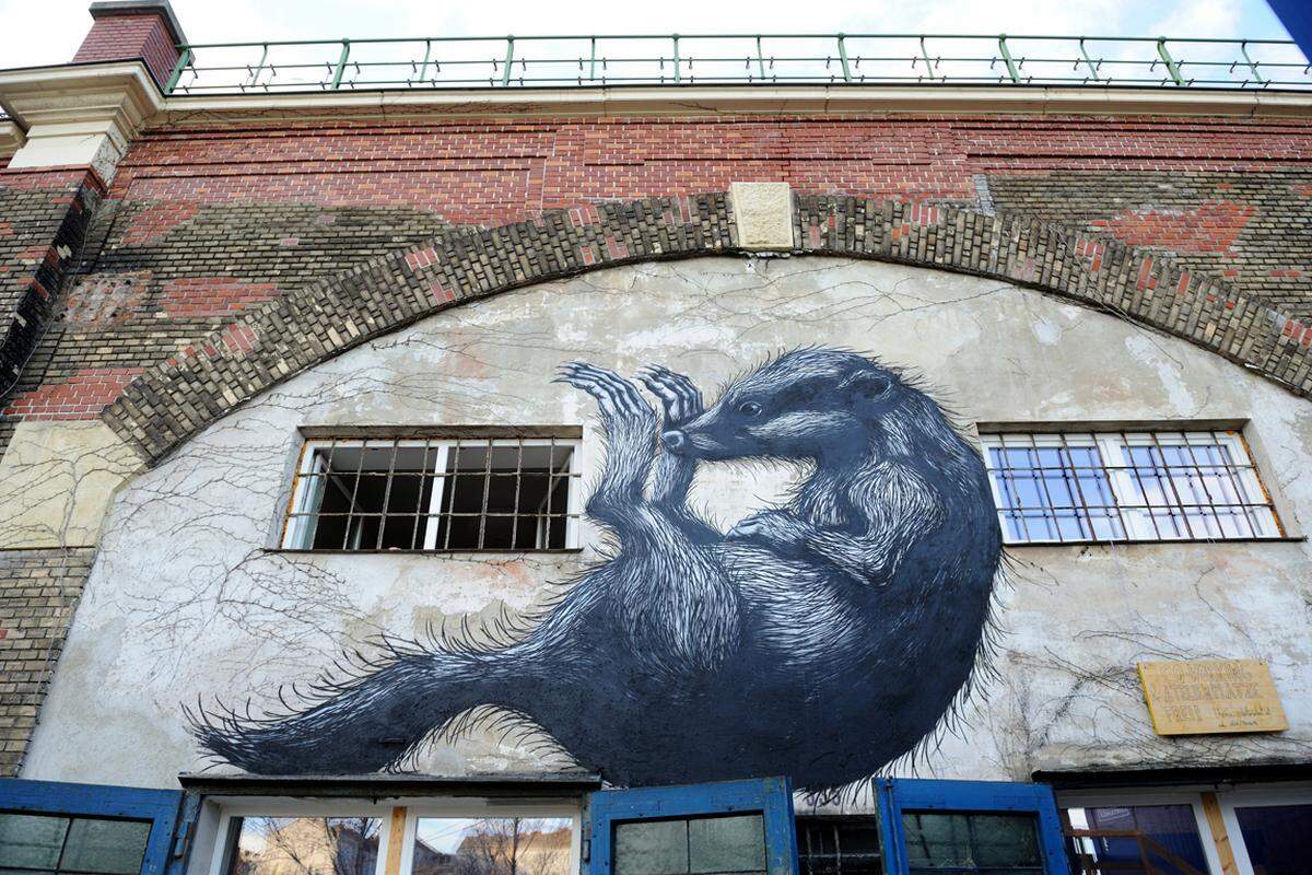 Der "Dachsbau" hat seinen Namen übrigens von einer unübersehbaren Arbeit des belgischen Streetart-Künstlers Roa bekommen.