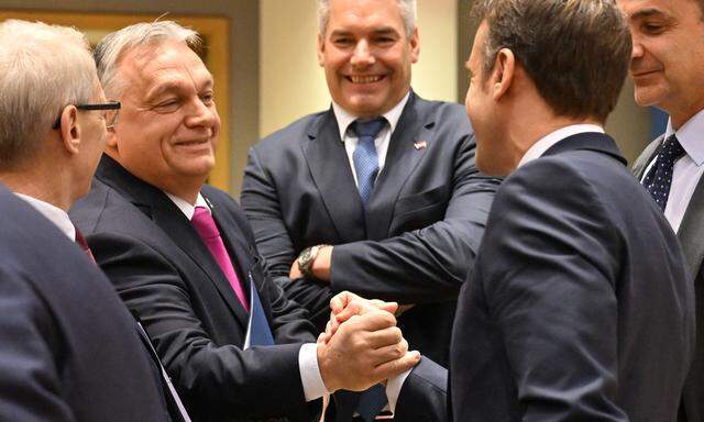 Viktor Orbán und Karl Nehammer zeigten sich über den Verlauf des EU-Gipfels vergangene Woche zufrieden.  