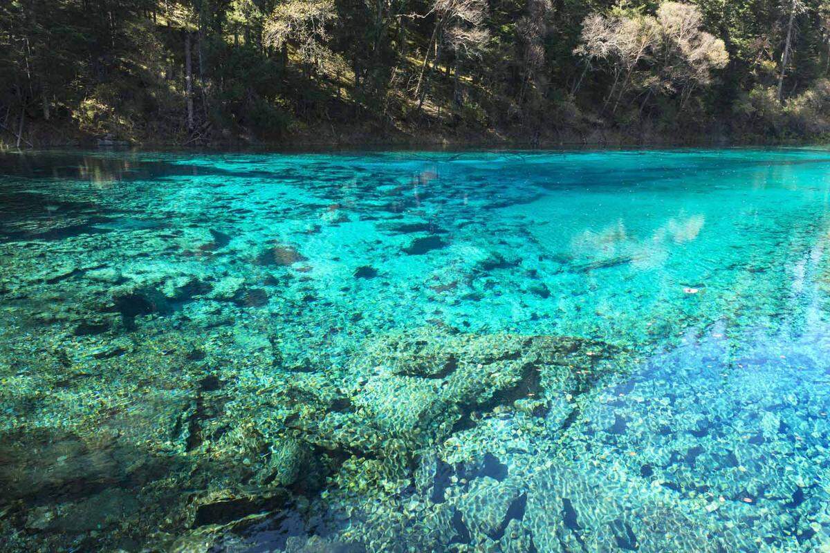 Klarer als klar: Die Attraktion des Nationalparks ist der Five-Flower-Lake, der durch sein kristallklares Wasser den Blick auf den Seegrund und die umgestürzten Bäume, die ein Muster bilden, freigibt.  