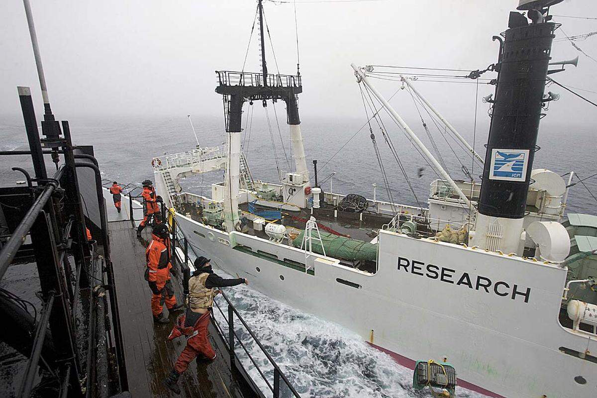 Allerdings sinkt die Nachfrage nach Walfleisch, berichtet Greenpeace: 6000 Tonnen lagern ungenutzt in japanischen Kühlhäusern.
