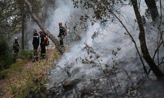 Mehr als 1200 Hektar fielen im Département Aveyron den Flammen zum Opfer.