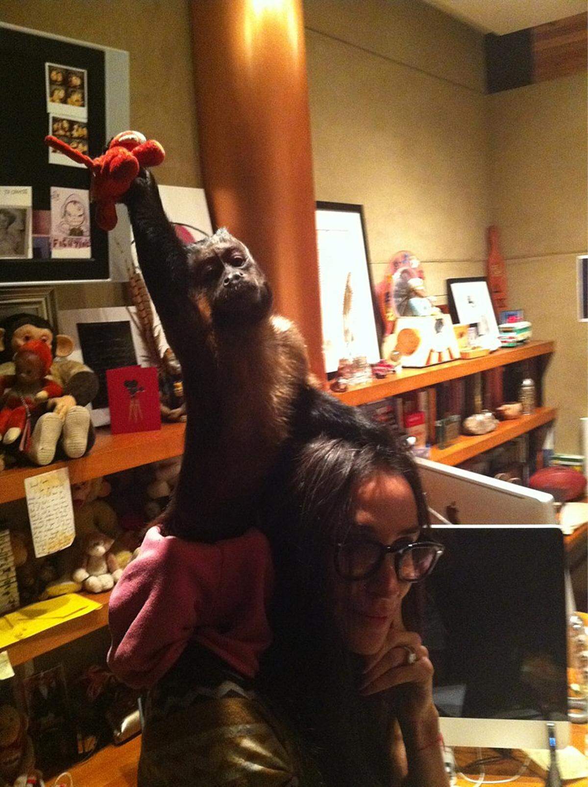 Nachdem Ashton Kutsher in letzter Zeit eher anderwärtig interessiert ist, wird Demi Moore vulgo Mrskutcher zu ihrem 49. Geburtstag von einem echten Affen besprungen. In den Krallen hält er Demis Glücksbringer, einen Plüschaffen namens Pursemonkey.