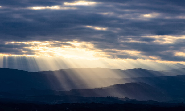 Wetter Hitze legt eine