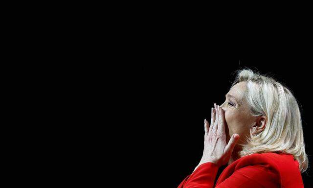 Die Chancen für Marine Le Pen stehen besser als noch vor fünf Jahren.  