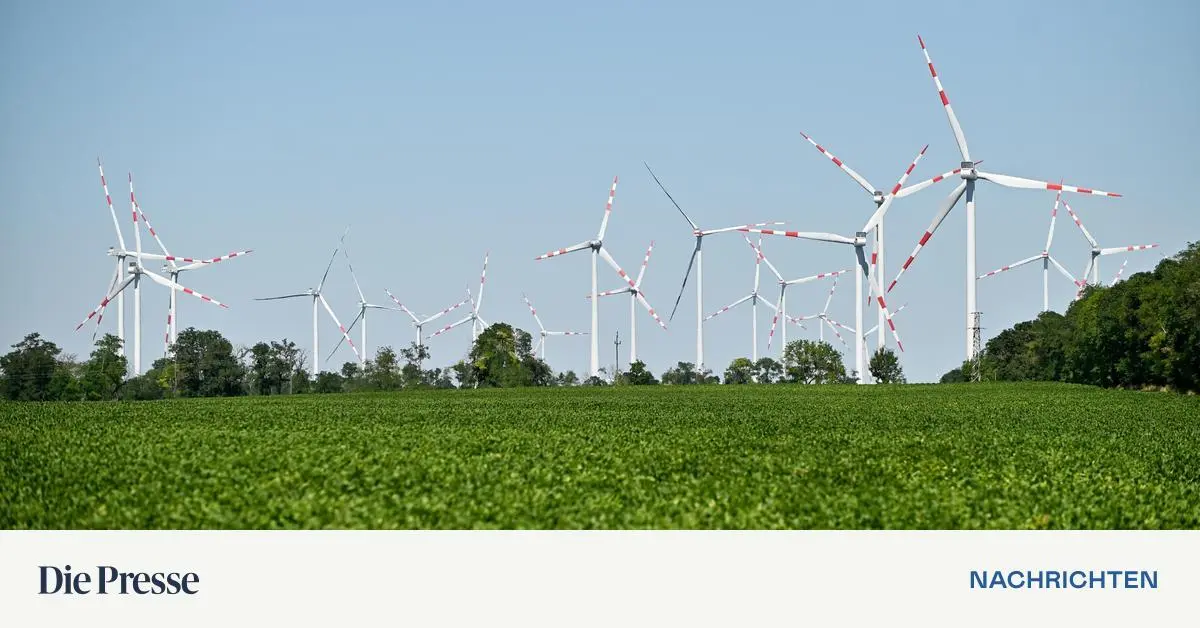 energie-staatssekret-rin-zehetner-wir-machen-den-strom-nicht-teurer-premium