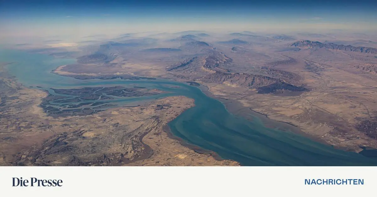 Ölpreise legen kräftig zu – Experte rechnet mit Anstieg auf bis zu 100 Dollar pro Barrel