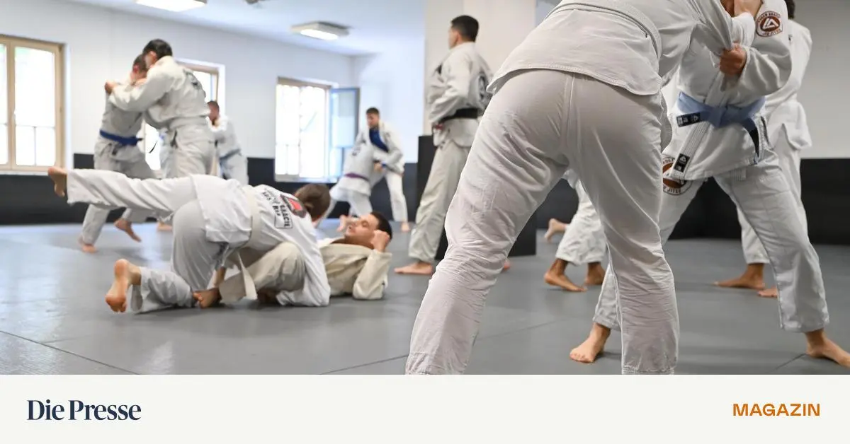 Brazilian-Jiu-Jitsu-Die-sanfte-Kunst-des-W-rgegriffs