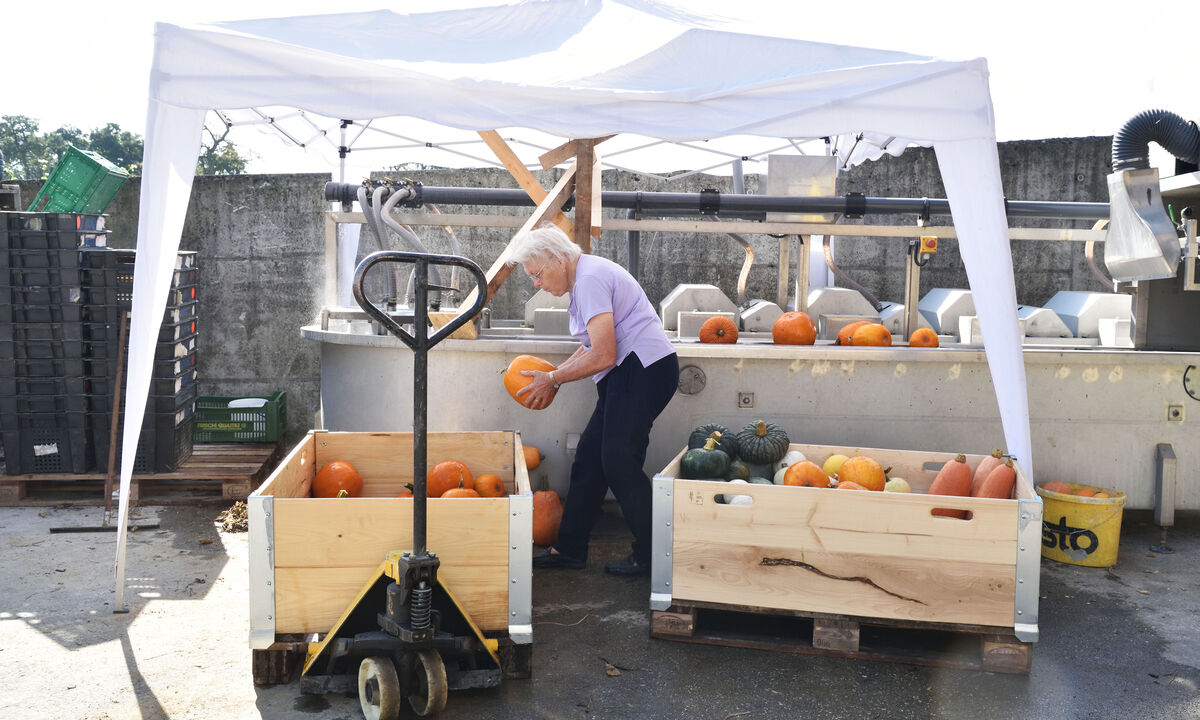 Der Großteil wird in einer Kürbiswaschanlage gereinigt, die dieser Tage von der Großmutter der Hofinhaberin betätigt wird.