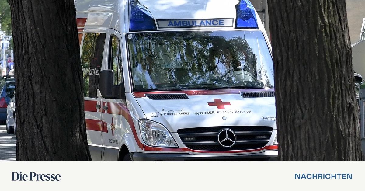 24-J-hriger-lag-verletzt-und-kaum-ansprechbar-in-Garagenausfahrt