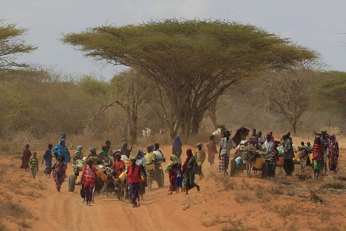 Mehr als die Hälfte der Somalier (3,7 Millionen Menschen) braucht dringend humanitäre Hilfe, schätzt die Weltgesundheitsorganisation (WHO). Tausende Somalis flüchten aus den Dürregebieten. Die meisten suchen Zuflucht in der Hauptstadt Mogadischu oder überqueren die Grenze im Süden in Richtung Kenia.