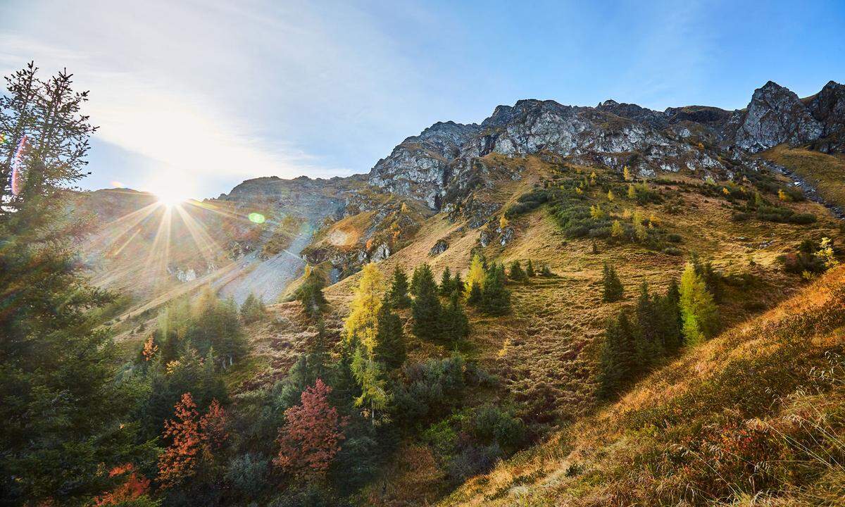 Nicht nur zum Skifahren ist Saalbach Hinterglemm eine fixe Größe, sondern auch zum Wandern, denn hier steigt man am östlichen Rand in die traumhaften Grasberge der Kitzbüheler Alpen ein, die hier ihre steilere Seite zeigen. Der Aufstiegs-, Distanzen- oder Gipfelorientierte hat hier 400 Kilometer Auslauf beziehungsweise kann er sich einer eigenen „Wander Challenge“ stellen, die sich über viele Höhenmeter erstreckt. Die drei Routen-Varianten heißen „Pinzgauer Spaziergang“, „Seven Summits“ und „Home of Lässig Walk“, allesamt Weitwanderwege, die etwa vom Talschluss hinauf auf die Grate und im U um das Tal herum oder vom Taleingang bis hinüber zur Schmittenhöhe führen. Wer diese Wander-Challenges absolviert, kann sich beim Tourismusverband einen Pokal abholen. Weitere Infos unter saalbach.com