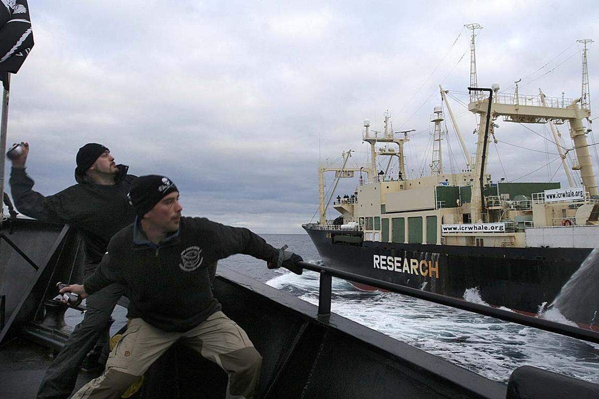 Im März 2008 haben Aktivisten das japanische Walfangschiff "Nisshin Maru" mit Stinkbomben beworfen.