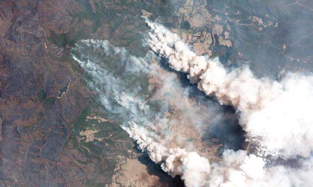 Das riesige Ausmaß der Buschbrände in Australien ist laut Wissenschaft auf die Erderwärmung zurückzuführen
