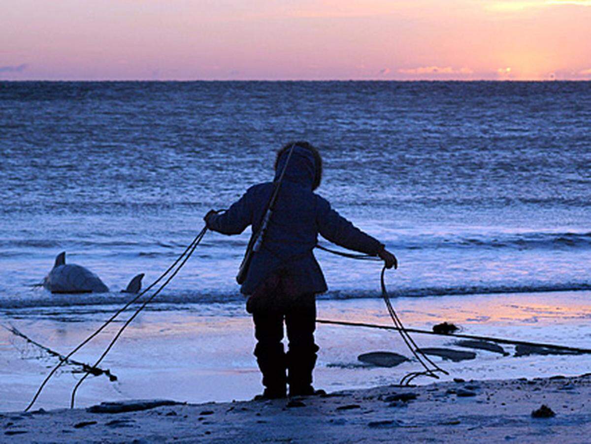 Die Sammelbezeichnung „Eskimo“ für die arktischen Völker im nördlichen Polargebiet wird heute häufig durch die Bezeichnung „Inuit“ ersetzt. Streng genommen gibt es aber auch andere, nicht Inukitut sprechende Volksgruppen.