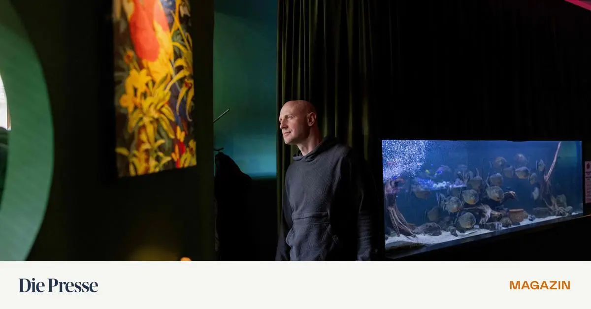 Das-zerbrechliche-Leben-der-Aquarienfische-im-Krieg-premium-
