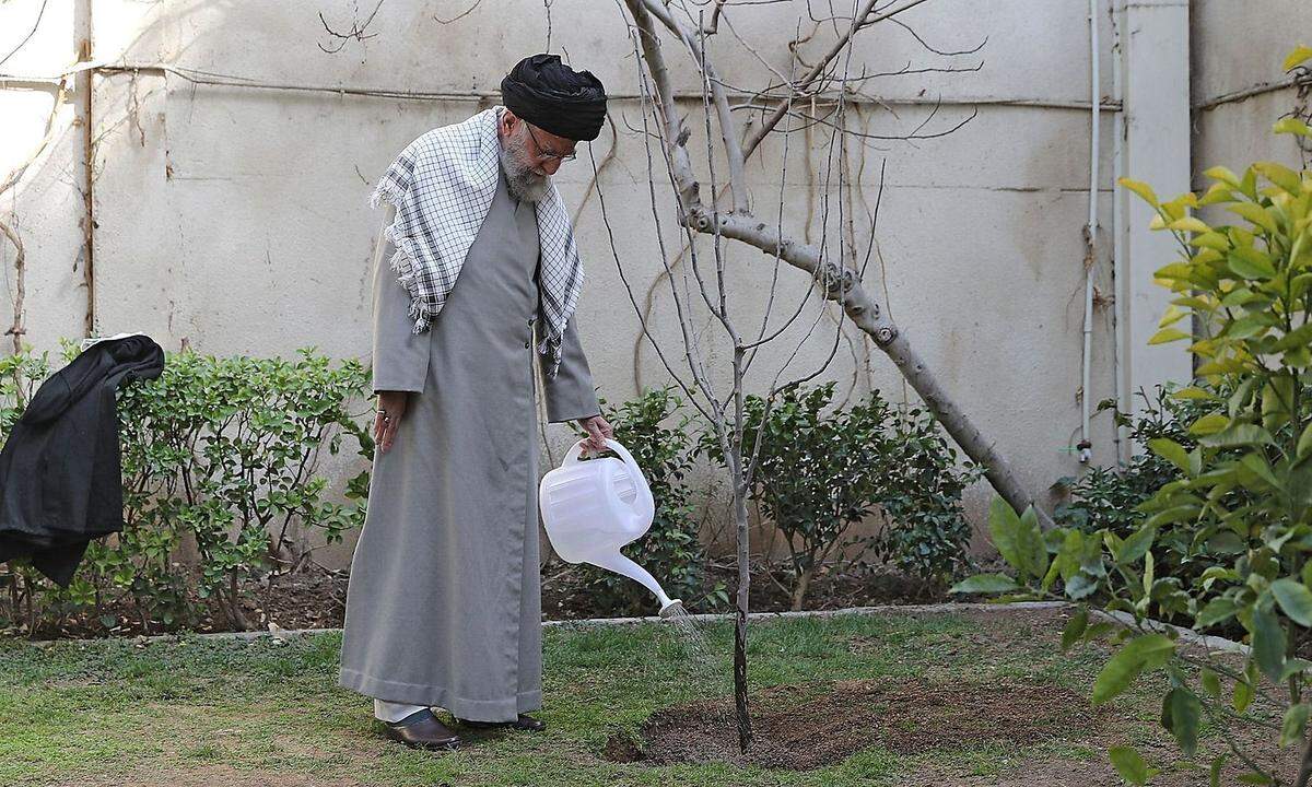 Ali Khamenei auf einem vom Iran am 6. März veröffentlichten Bild bei einer Zeremonie eines neu eingepflanzten Baums.