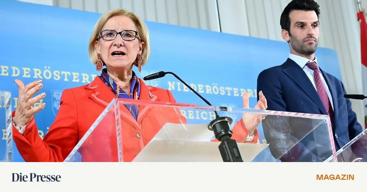 -vp-und-fp-zwischen-offener-feindschaft-und-konstruktiver-zusammenarbeit-premium