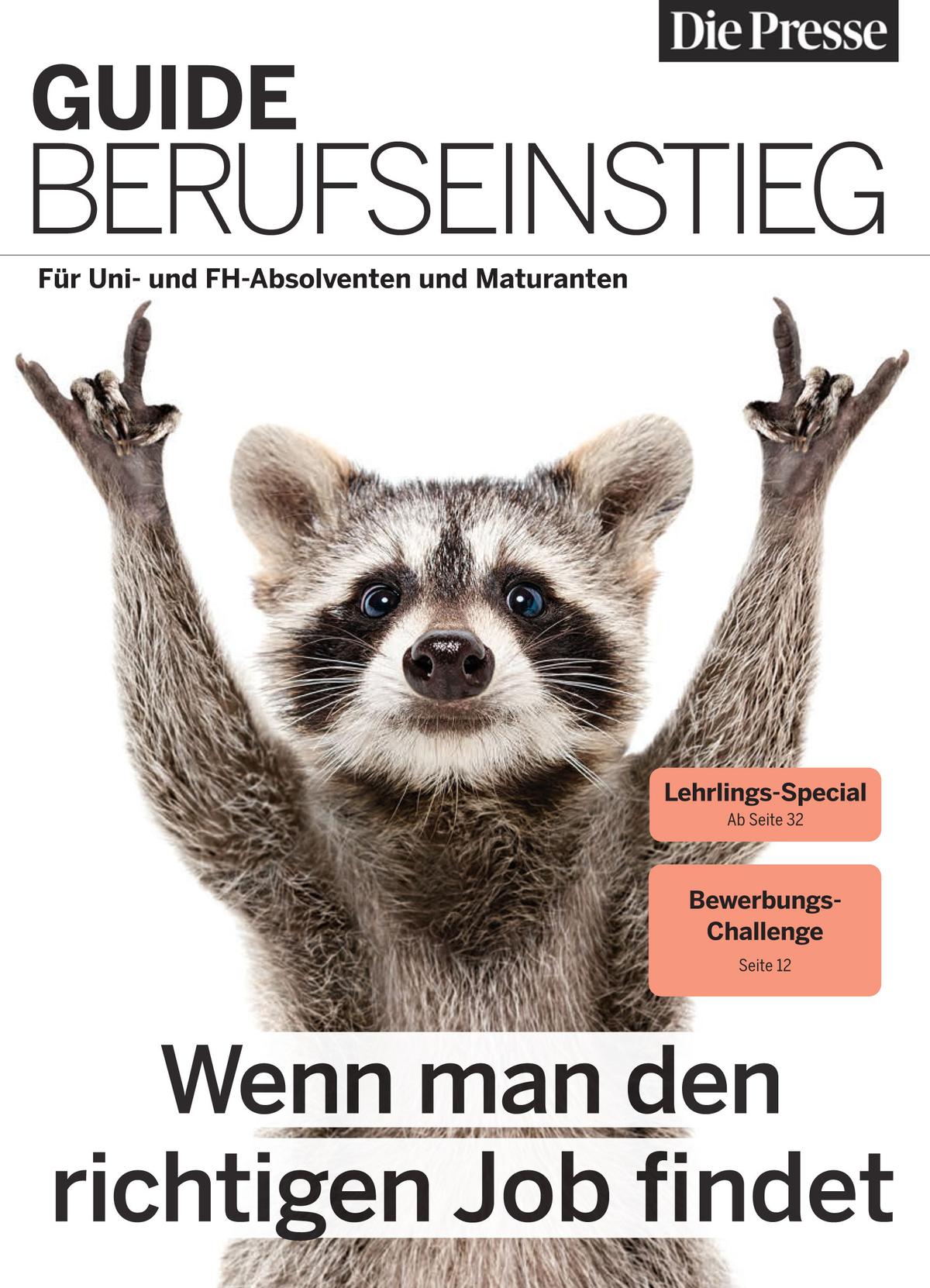 Guide Berufseinstieg
