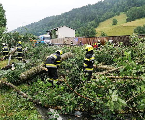 Viele Bäume knickten im Bezirk Liezen in der Steiermark um.