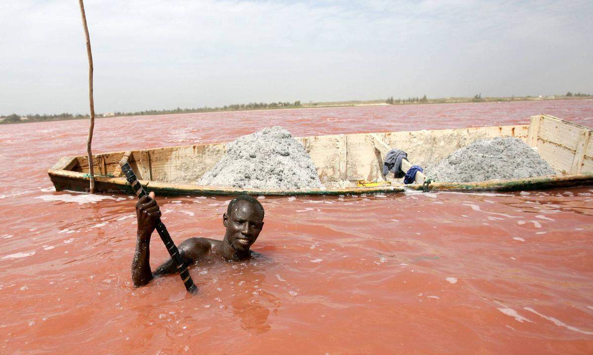 Lac Retba ist ein rot leuchtender Salzsee im Senegal 30 Kilometer nordöstlich von Dakar. Für die rosarote Färbung des Wassers sind die Meeresbakterien Dunaliella salina verantwortlich. 
