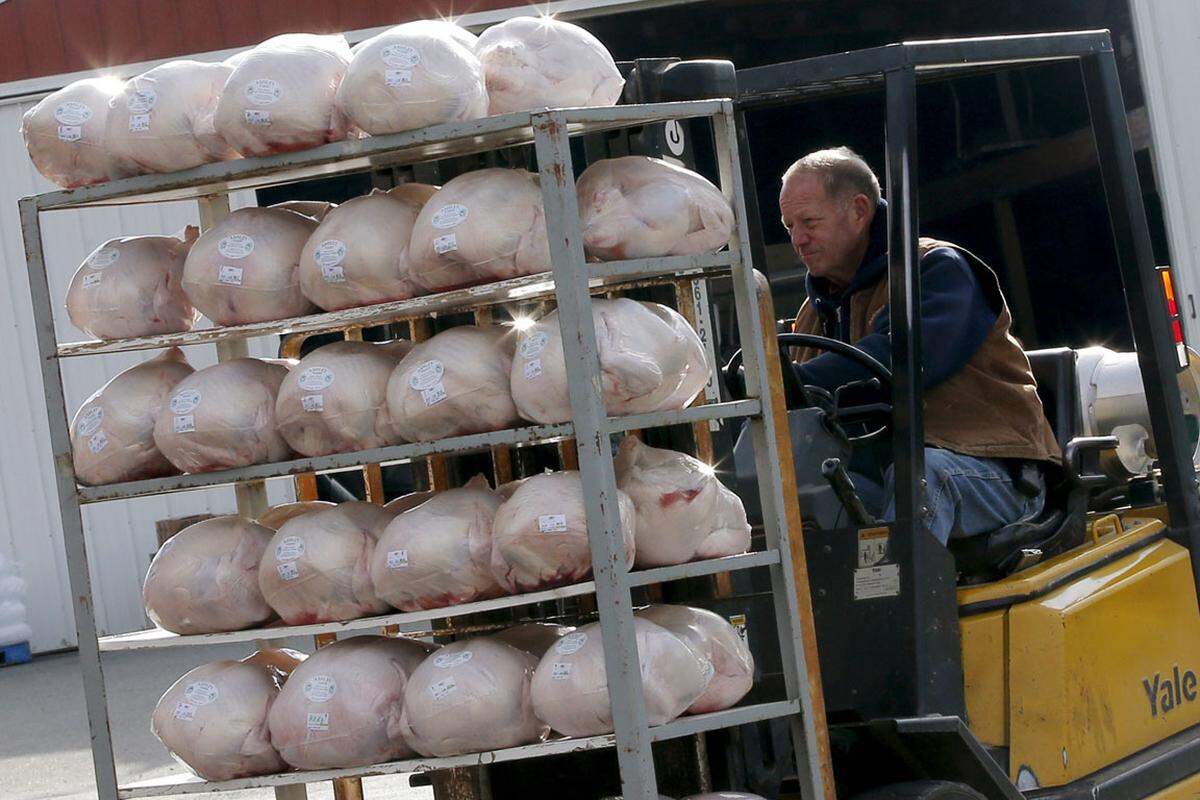 Von den etwa 46 Millionen Truthähnen, die an diesem Thanksgiving auf den Tischen stehen werden, wird voraussichtlich wieder mehr als ein Drittel weggeworfen. Zuletzt landeten mehr als 90.000 Tonnen Fleisch in der Tonne.