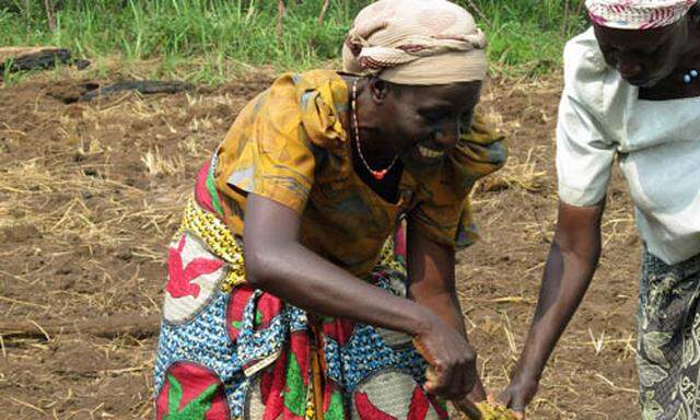 Uganda oekologische Landwirtschaft traegt