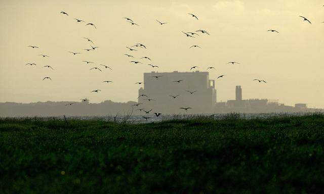 Archivbild: Das britische Atomkraftwerk Hinkley Point