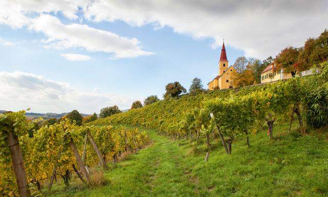 Würze. Im steirischen Vulkanland: mineralische Böden.