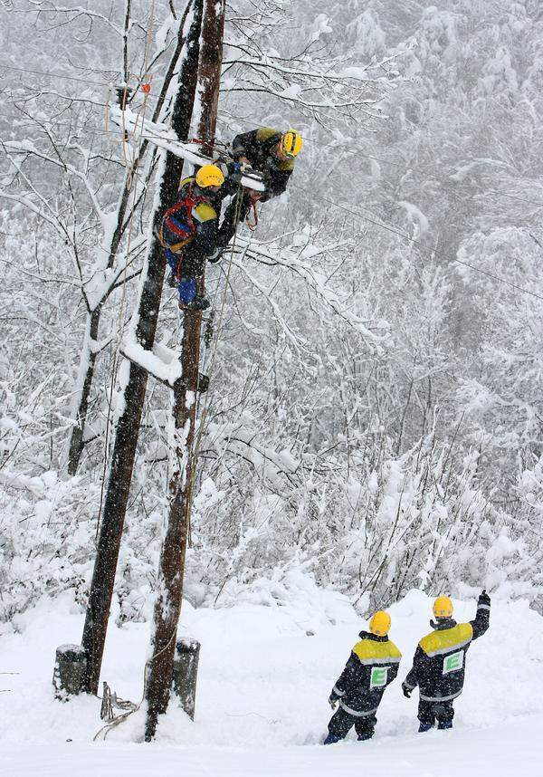 Am Donnerstag waren rund 1800 Haushalte in Salzburg und Niederösterreich ohne Strom. Der viele Schnee und dadurch umstürzenden Bäume beschädigen Stromleitungen.