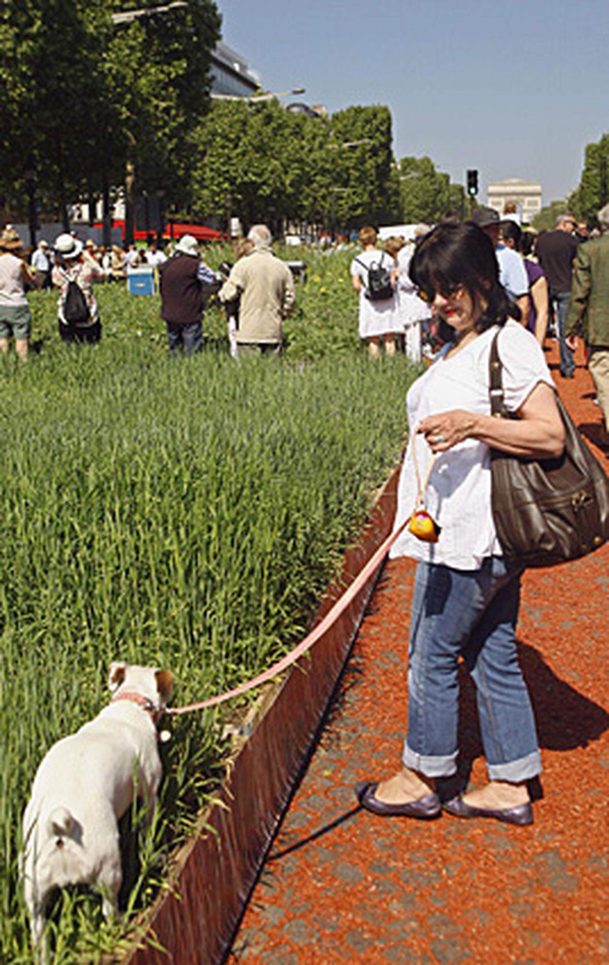 Vor 20 Jahren war die Champs-Élysées schon einmal in ein Weizenfeld verwandelt worden.