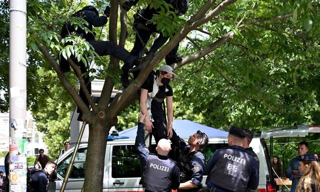 Ein Aktivist kletterte auf einen Baum. Polizisten mussten ihn herunterholen.
