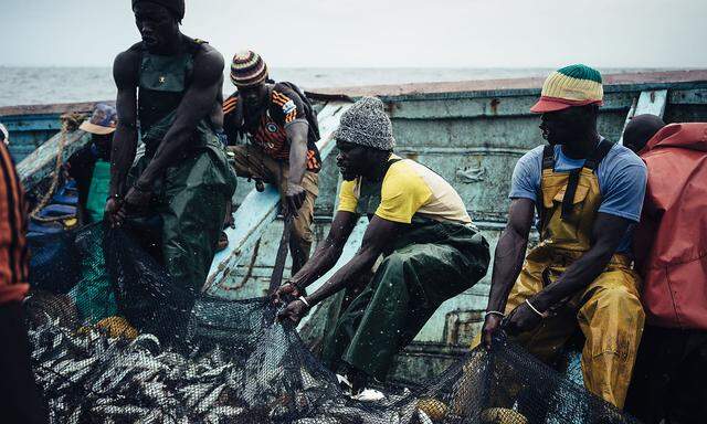 Lokale Fischer im Senegal holen sich auch jene kleineren Fischarten aus dem Wasser, die in großem Stil zu Fischmehl verarbeitet werden.