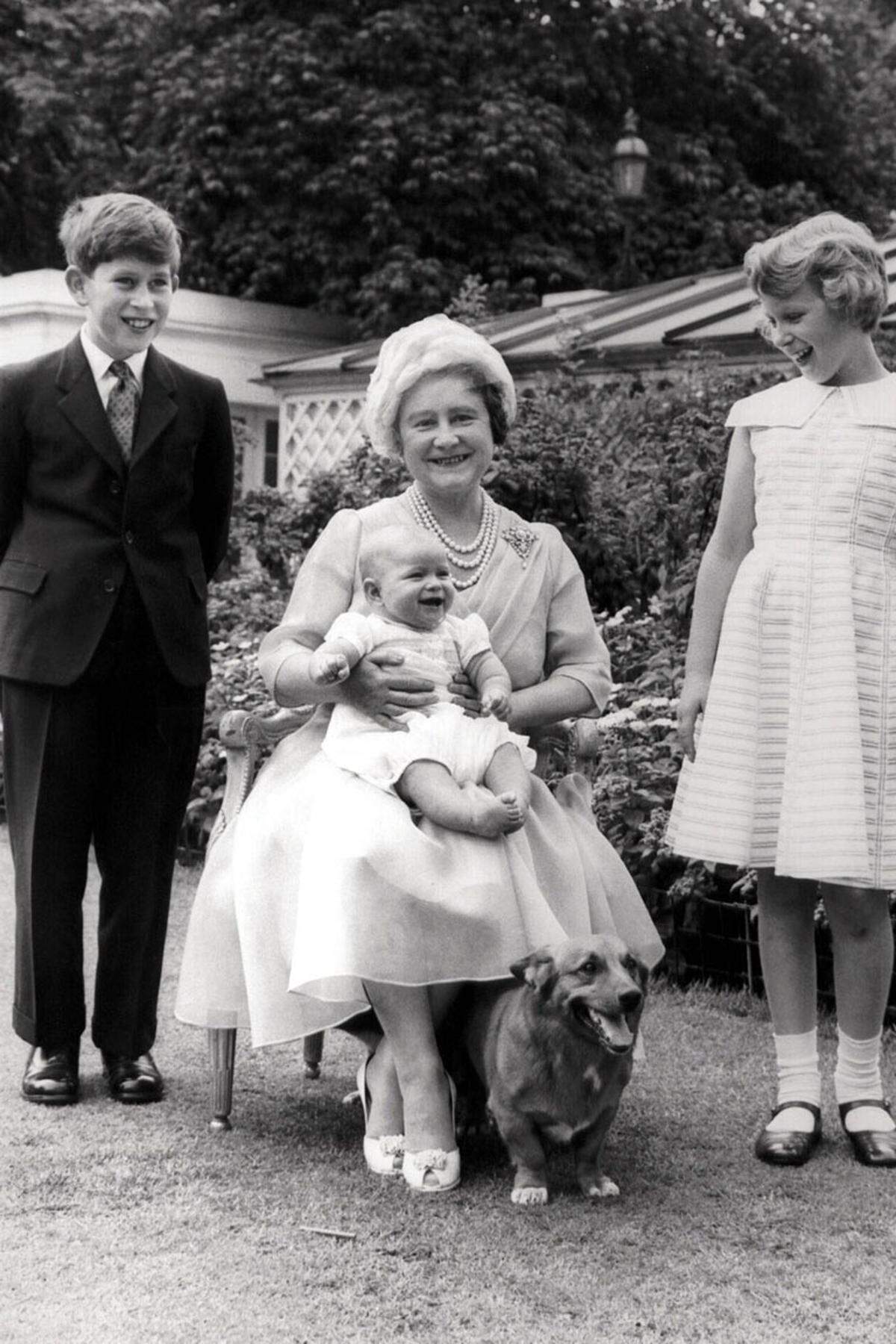 Seitdem gelten für die Lieblingshunde der Queen strikte Vorschriften, die bereits ihre Mutter eingeführt hat. Queen Mum zu ihrem 60. Geburstag mit ihren Enkeln Prinz Charles (r.), Prinzessin Anne (l.) und Prinz Andrew (m.), 4. August 1960.