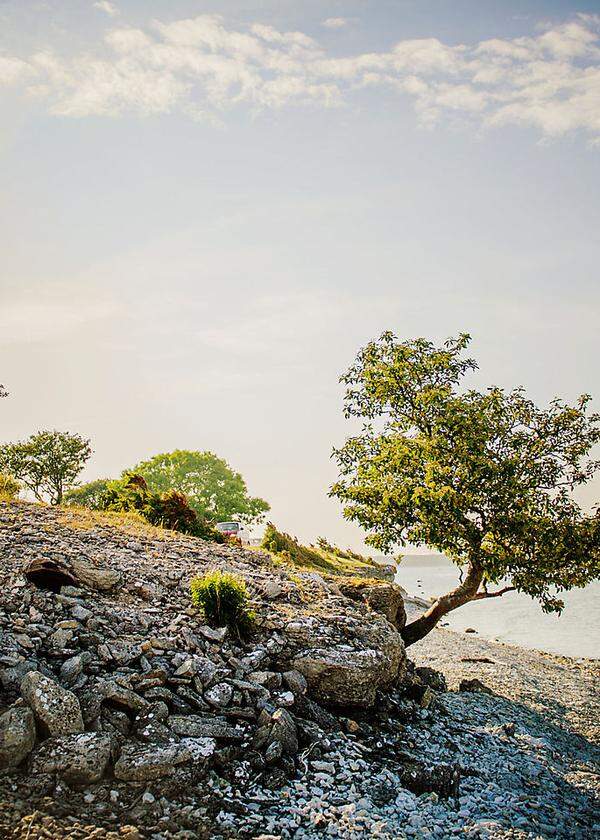 Magisch zog die kleine Ostsee-Insel Fårö Ingmar Bergman an. Auch heute suchen Kreative die Stille hier. 