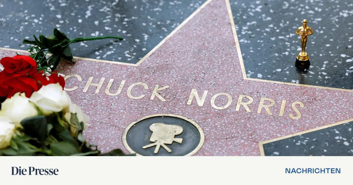 Chuck-Norris-Slowakische-Fahrradbr-cke-nach-sterreich-tr-gt-seinen-Namen
